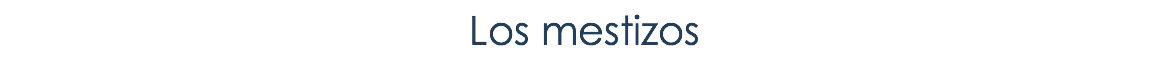 Los mestizos