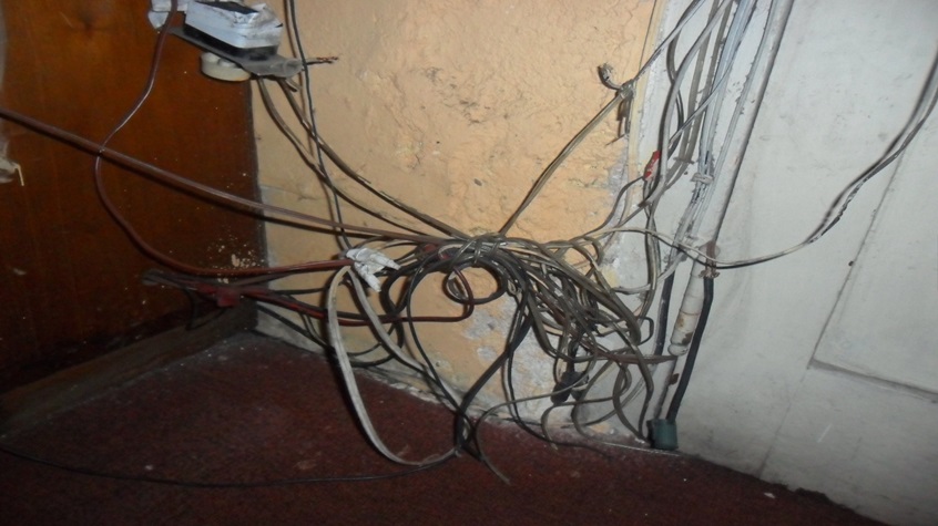 elementos-ordenados-de-la-vida