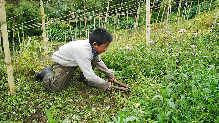 Situacion-Familiar-La-realidad-de-mucha-familia