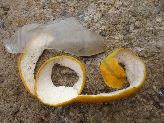 Violecia-Alida-Alfaro