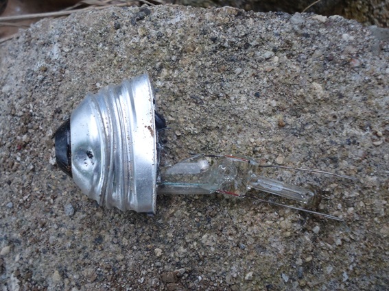 Perdida de VisiÃ³n