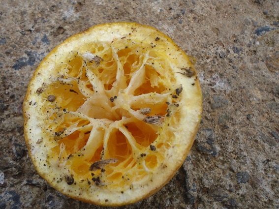 Resolver Necesidades