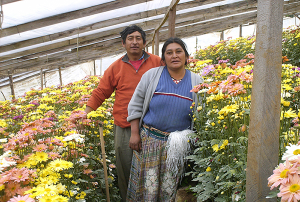 Situacion-Economica-Floricultura